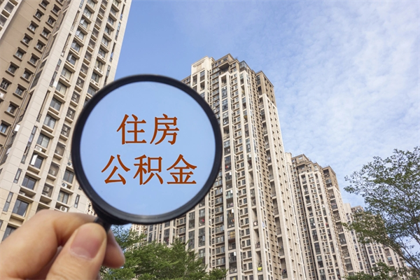 张北离职后公司不给转公积金怎么办（离职后公司不给转社保怎么办）